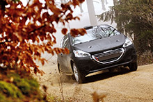 Účast v juniorském mistrovství Evropy Účast v juniorském mistrovství Evropy