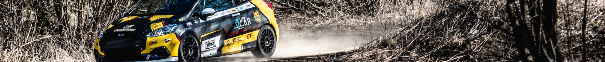 Ford Fiesta Rally3 Ford Fiesta Rally3